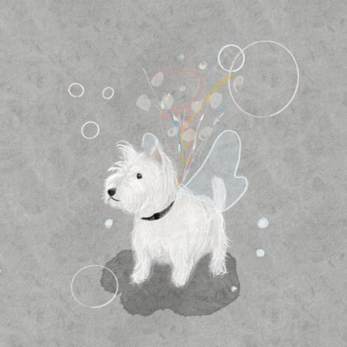 犬